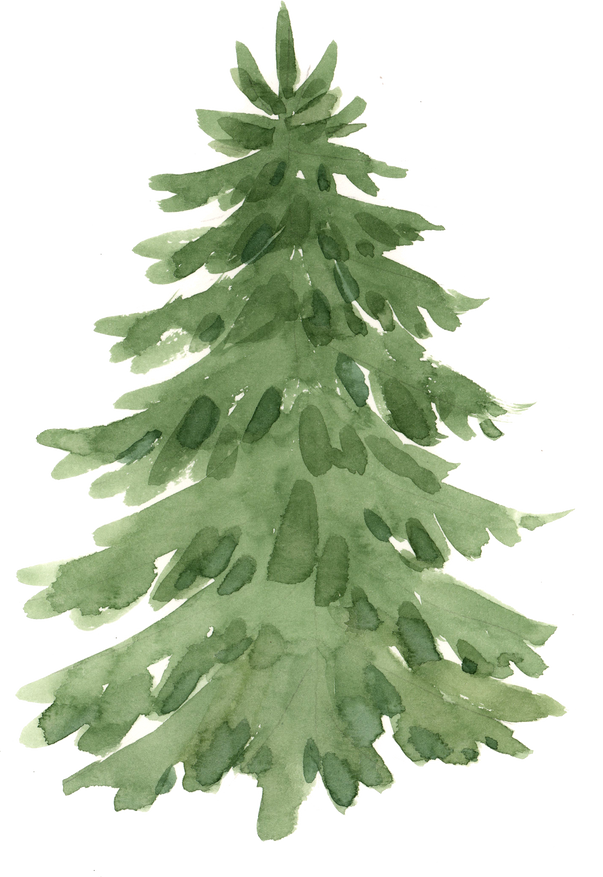 Christmas tree, watercolor illustration